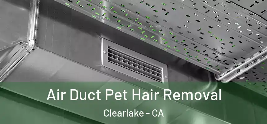  Air Duct Pet Hair Removal Clearlake - CA