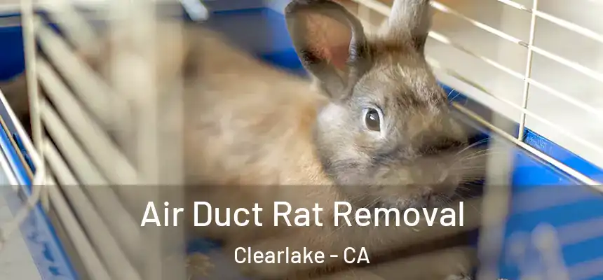  Air Duct Rat Removal Clearlake - CA