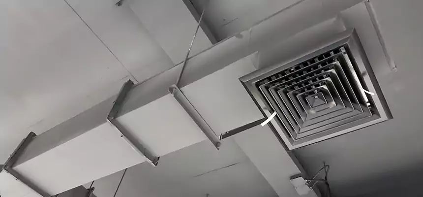 Our Rodent Droppings In Vents Services in Clearlake, CA