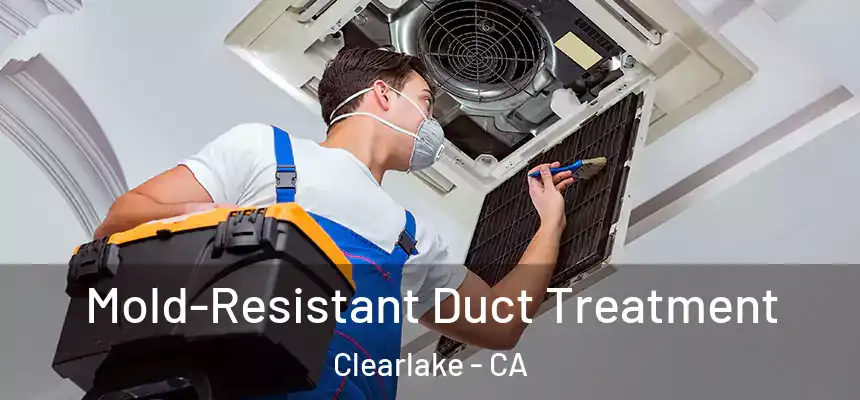  Mold-Resistant Duct Treatment Clearlake - CA