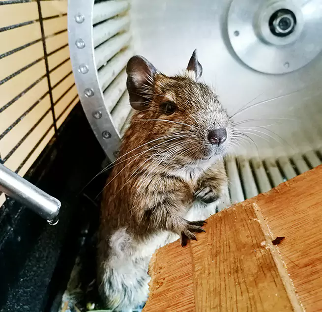 Why Homeowners & Businesses Trust Us Clearlake, CA?