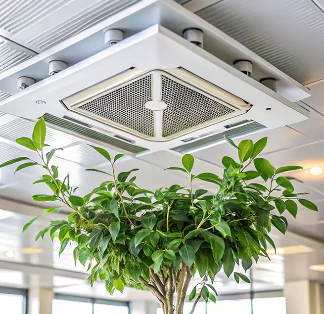 Why Homeowners & Businesses Trust Us in Clearlake, CA