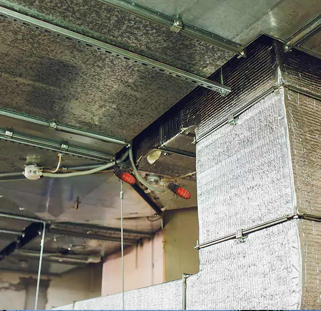 Why Homeowners & Businesses Trust Us Clearlake, CA?